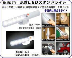 BS-974 TLEDX^hCg